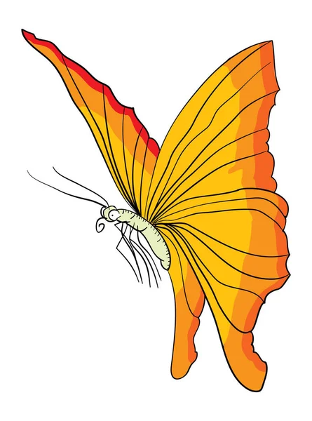 Illustrazione Una Farfalla — Vettoriale Stock