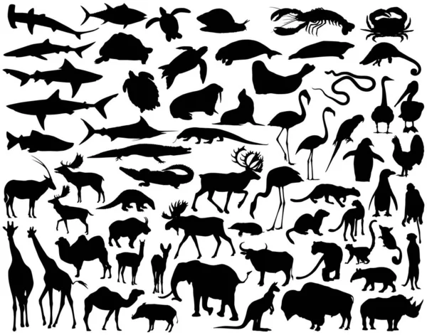 Коллекция Разнообразных Векторных Силуэтов Животных — стоковый вектор