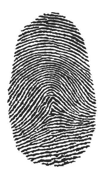 Vector Illustration Fingerprint — Stock Vector