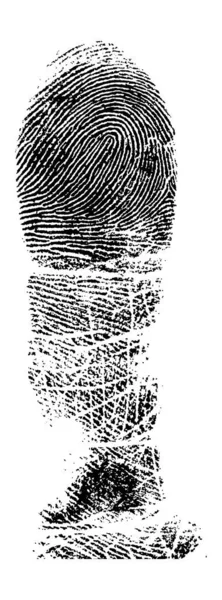 Full Finger Fingerprint Very Detailed Vector Image — Stock Vector