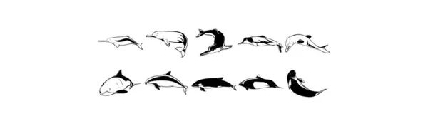 Colección Ilustraciones Vectores Suaves Eps Varios Tiburones — Archivo Imágenes Vectoriales