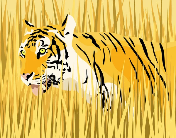 Векторная Иллюстрация Тигра Сухой Траве Тигром Травой Качестве Отдельных Элементов — стоковый вектор