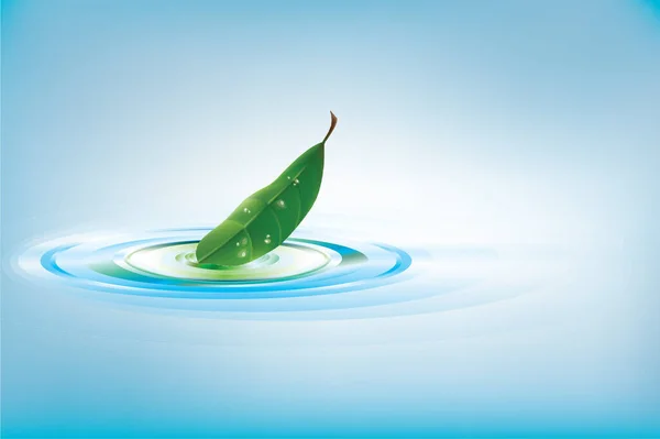 Green Leaf Falling Water Vector Eps Illustration — Stock Vector