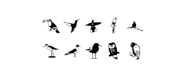 Deset Hladkých Vektorových Kliparty Ilustrací Ptáků — Stockový vektor