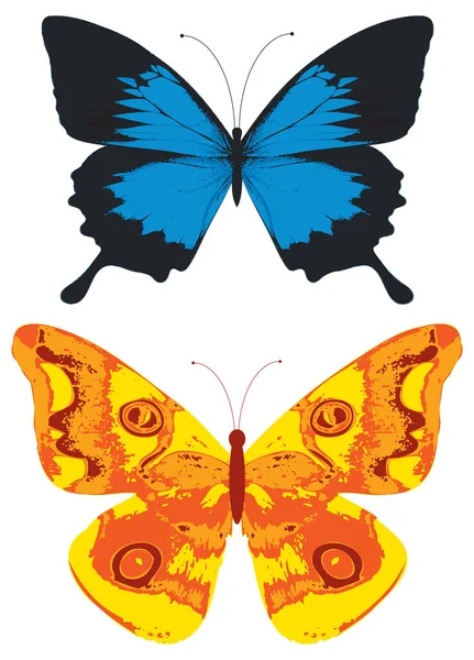 Illustrazione Dettagliata Delle Farfalle — Vettoriale Stock