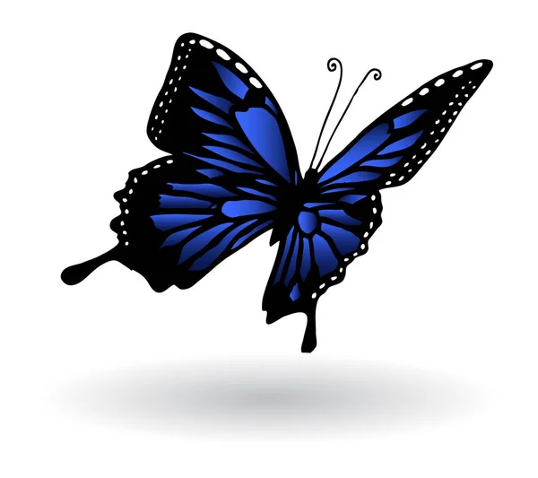 Handgezeichnetes Schmetterlingsbild Farbige Illustration — Stockvektor