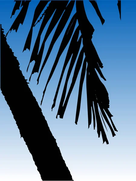 Silhouette Vectorielle Palmier — Image vectorielle