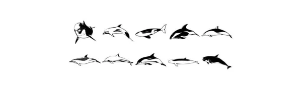 Colección Ilustraciones Vectores Suaves Eps Varios Tiburones — Vector de stock