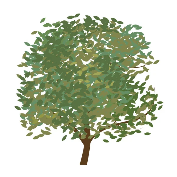 Árvore Solitária Contra Fundo Branco Formato Vetorial Folhas Podem Ser —  Vetores de Stock