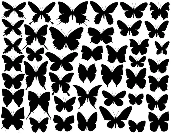 Selection Vector Butterfly Outlines Silhouettes — Stock Vector