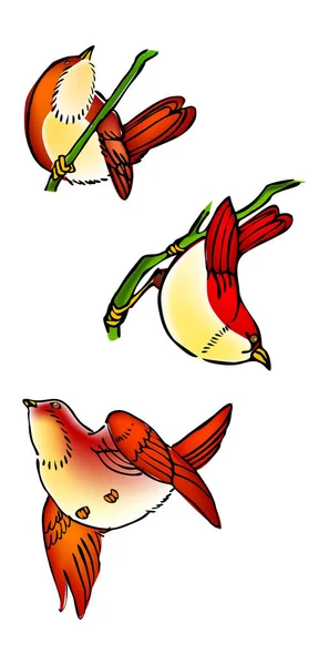 Illustration Vector Three Variety View Birds — Stock Vector