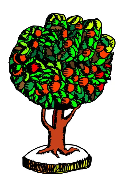 열매를 야자수를 나타내는 삽화는 — 스톡 벡터