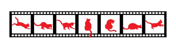 Ilustración Una Película Gato — Vector de stock