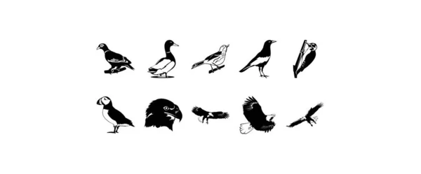 Diez Lisos Vector Clipart Ilustración Las Aves — Vector de stock