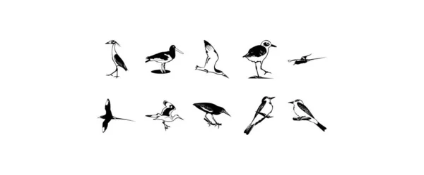 Deset Hladkých Vektorových Kliparty Ilustrací Ptáků — Stockový vektor