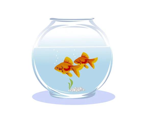 Two Goldfish Glass Aquarium — Stock Vector