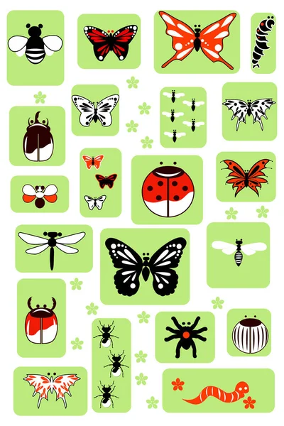 Set Vector Insects — Stock Vector