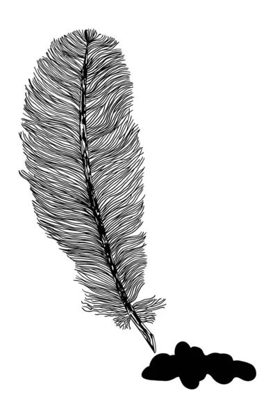 Black White Feather Illustration Ink Spot — Stock Vector