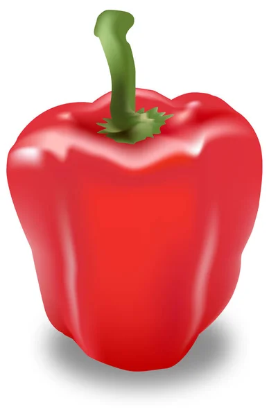 Juicy Red Pepper Vector — Stock Vector