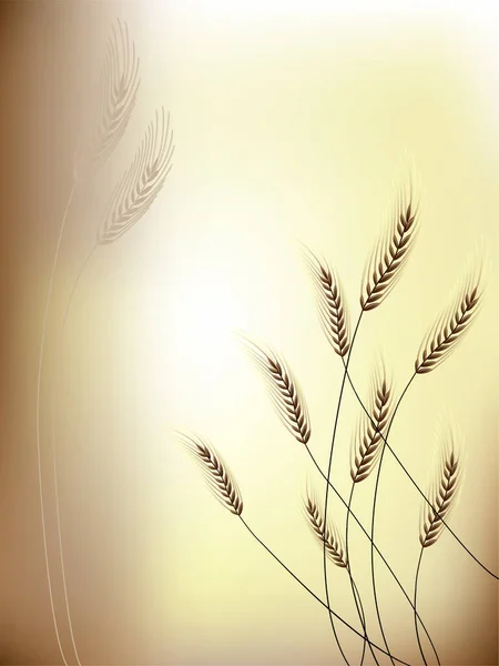 Floral Background Grain Ears Vector Eps Illustration — Stock Vector