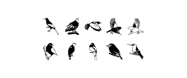 Dieci Liscio Vettoriale Clipart Illustrazione Degli Uccelli — Vettoriale Stock