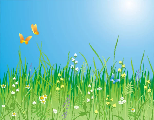 Blumen Gras Und Schmetterling Eine Schöne Wiese — Stockvektor