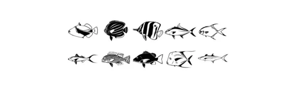 Coleção Ilustrações Eps Vetor Liso Vários Peixes —  Vetores de Stock