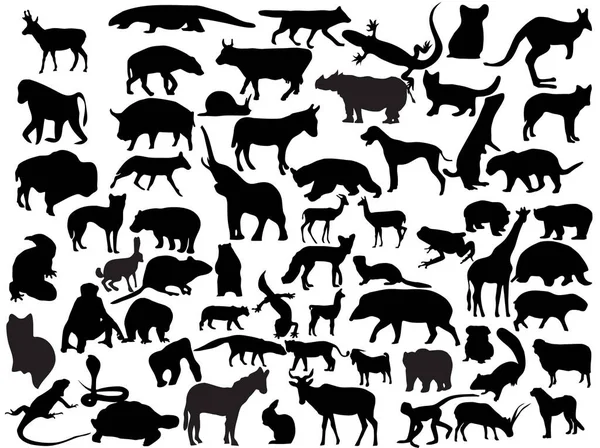 Διανύσματα Σιλουέτες Διαφόρων Ζώων — Διανυσματικό Αρχείο