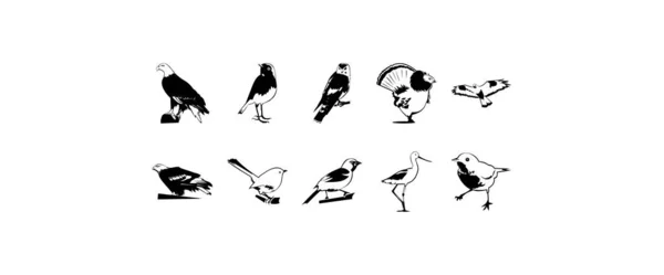 Kuşların Pürüzsüz Vektör Klipslemesi — Stok Vektör