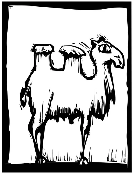 Boceto Dibujado Mano Camello — Vector de stock