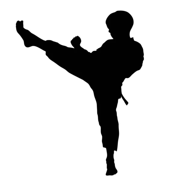 Karate Martial Arts Fighter Silhouette — Stock Vector