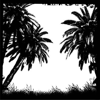 Palmiye ağaçları siluet vektör illüstrasyon