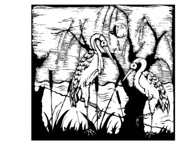 iki leylek vektör illüstrasyonu