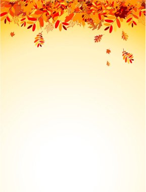 renkli yaprakları, vektör çizim ile sonbahar arka plan