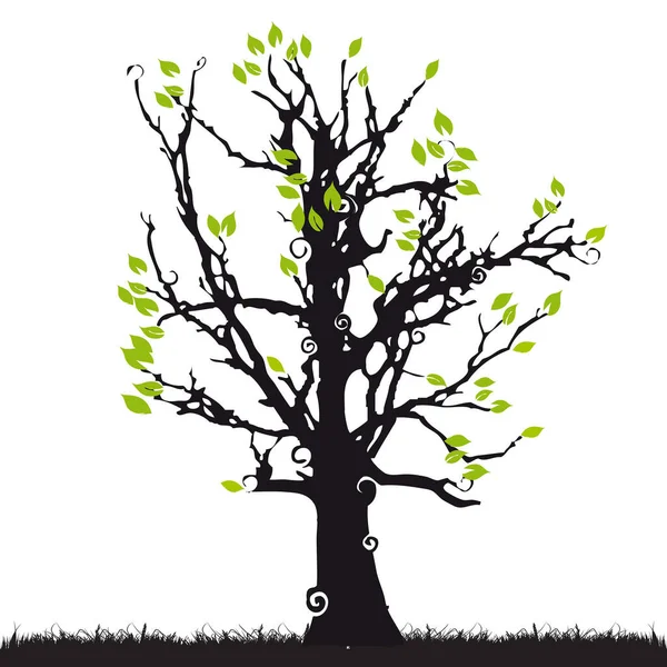 Baumsilhouette Mit Blättern Vektorillustration — Stockvektor