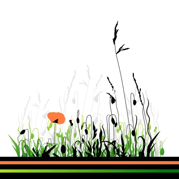 Poppy Flowers Grass — Stock Vector