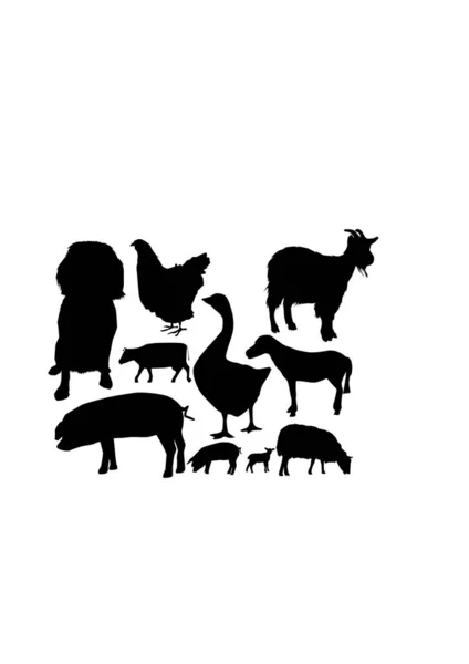 Set Farm Animals Vector Illustration — Stock Vector