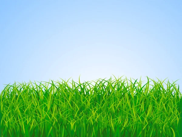Grönt Gräs Blå Himmel Vektor Illustration — Stock vektor