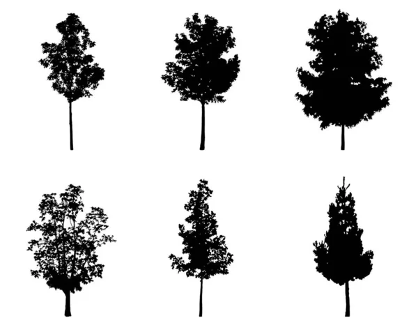 Zestaw Drzew Ilustracja Wektorowa — Wektor stockowy