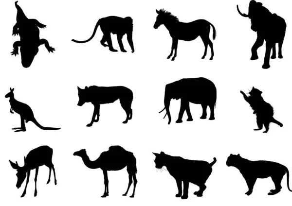 动物的矢量黑色轮廓 — 图库矢量图片