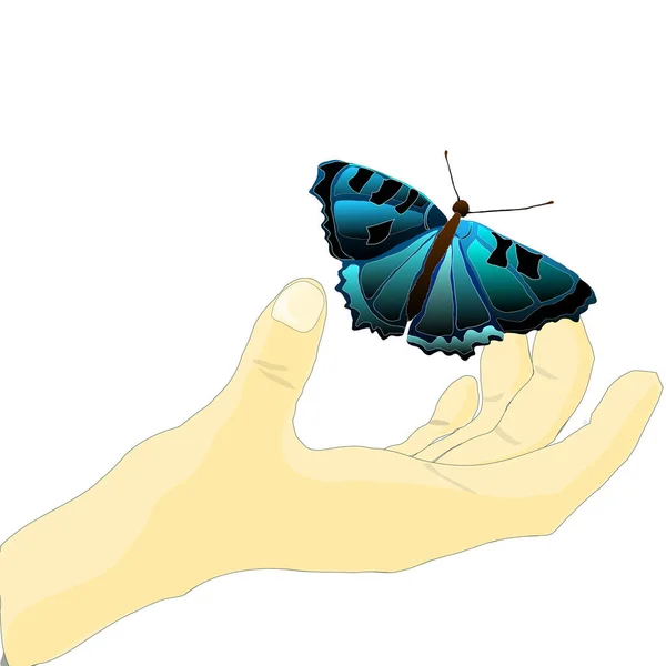 Vektorová Ilustrace Motýla Ruce Bílém Pozadí — Stockový vektor