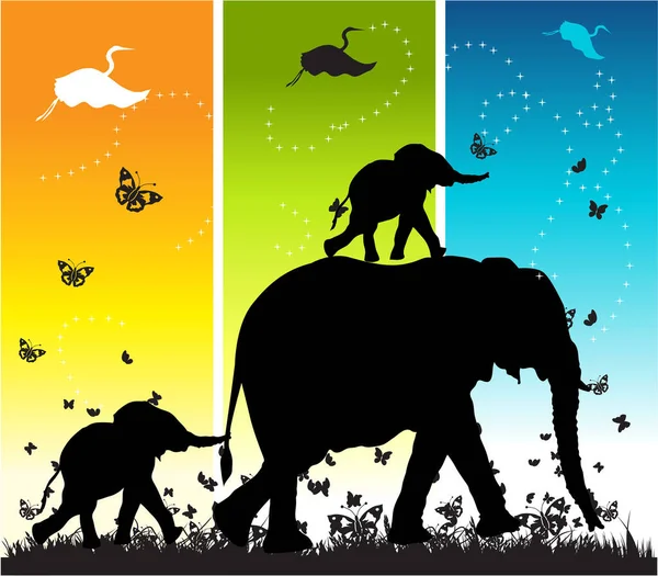 Illustration Mit Elefanten Und Schmetterlingen — Stockvektor