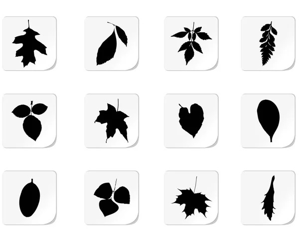 Leaf Buttons Vector Illustration — Stock Vector