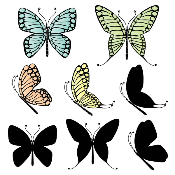 Ensemble Papillons Différents — Image vectorielle