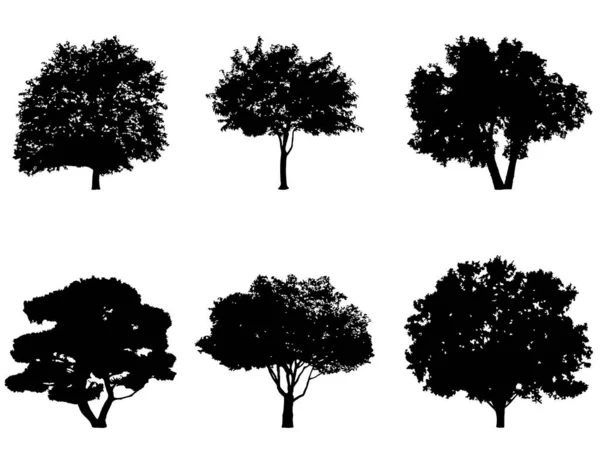 Коллекция Силуэтов Деревьев Векторный Набор Деревьев — стоковый вектор