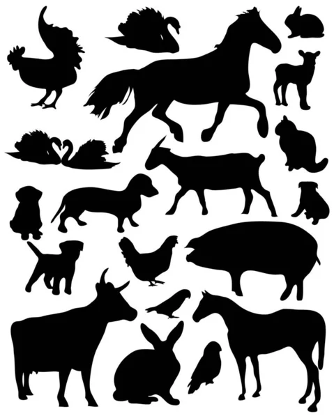Σύνολο Των Ζώων Σιλουέτες Διανυσματική Απεικόνιση Απλό Σχεδιασμό — Διανυσματικό Αρχείο