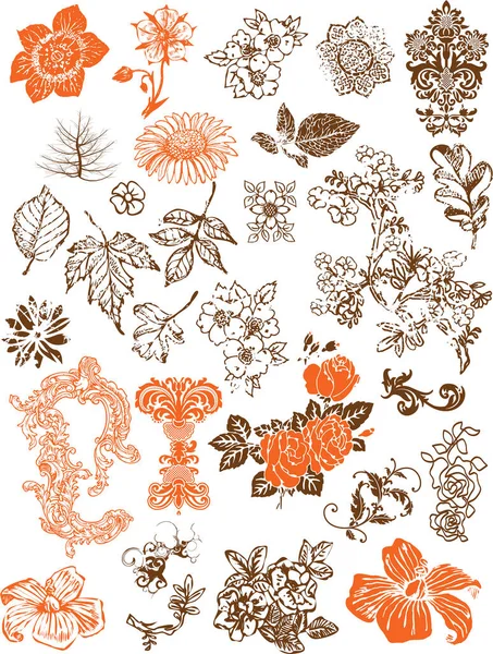 Set Hand Drawn Flowers Vector Floral Design Elements — Stock Vector