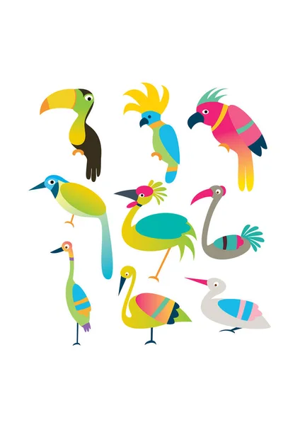 鳥のセット ベクターのイラスト 面白い鳥 — ストックベクタ
