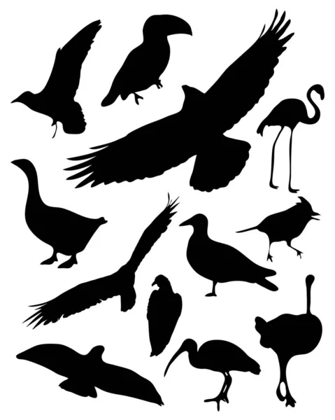 Набор Силуэтов Птиц — стоковый вектор