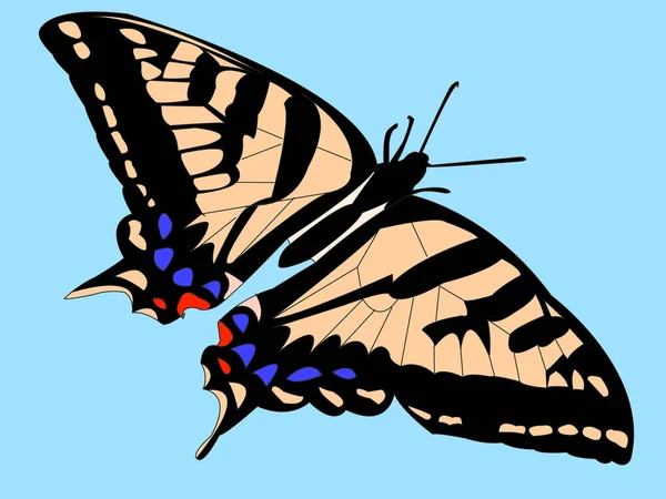 Cartoon Butterfly Vector Illustration — Stockvektor